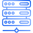 Hosting Icon