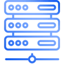 Hosting Icon